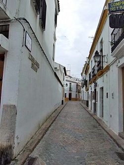 Vista de la calle Fernandez Ruano.jpg